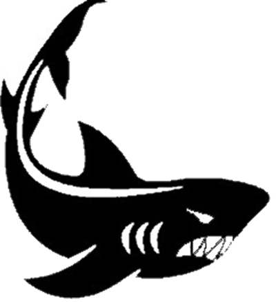 Pokalfinale Elbsee Haie vs. Thingauer Grizzlies